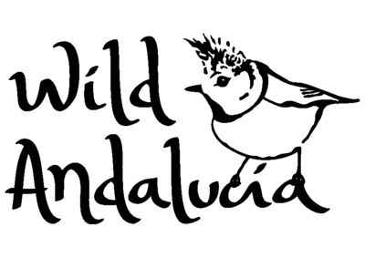 birding logo