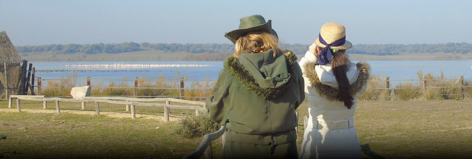Birdwatching trip in Doñana National Park