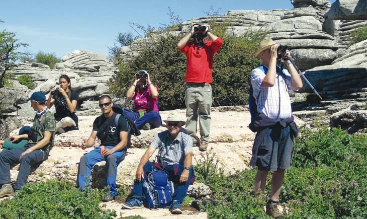 birders malaga spain