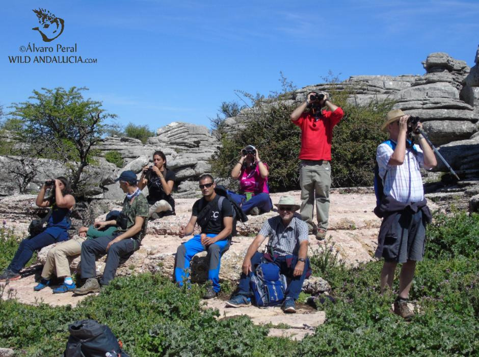 birding in el torcal málaga andalucía