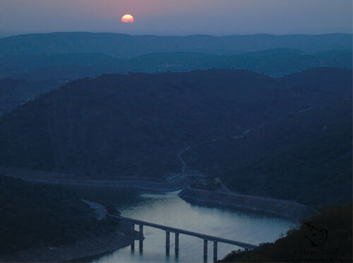 tagus in extremadura sunrise