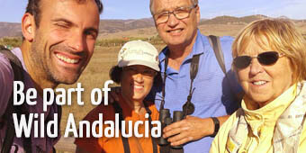 Join Wild Andalucia birding tours