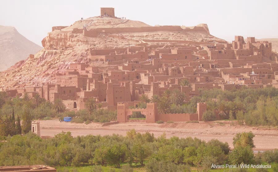 Ait ben haddou kashba