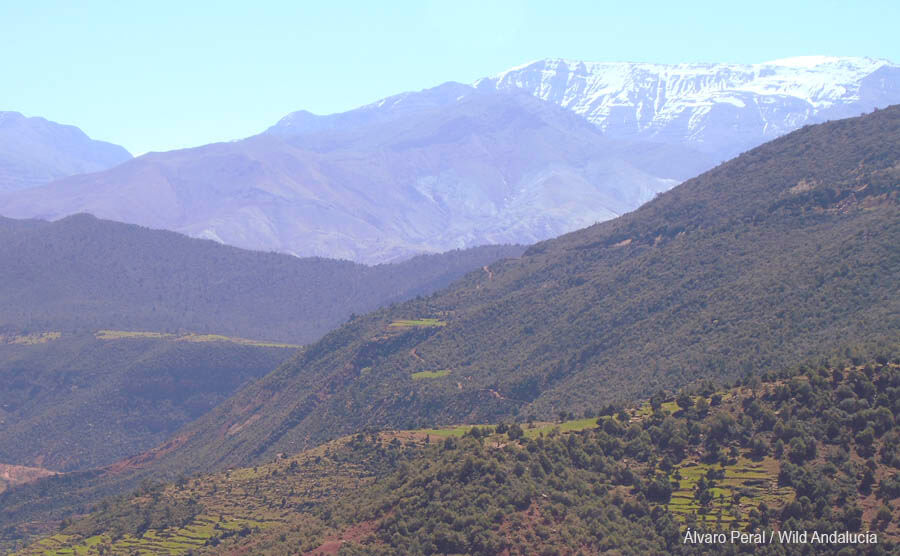 high atlas in Morocco