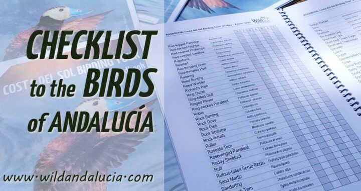 Bird list south Spain