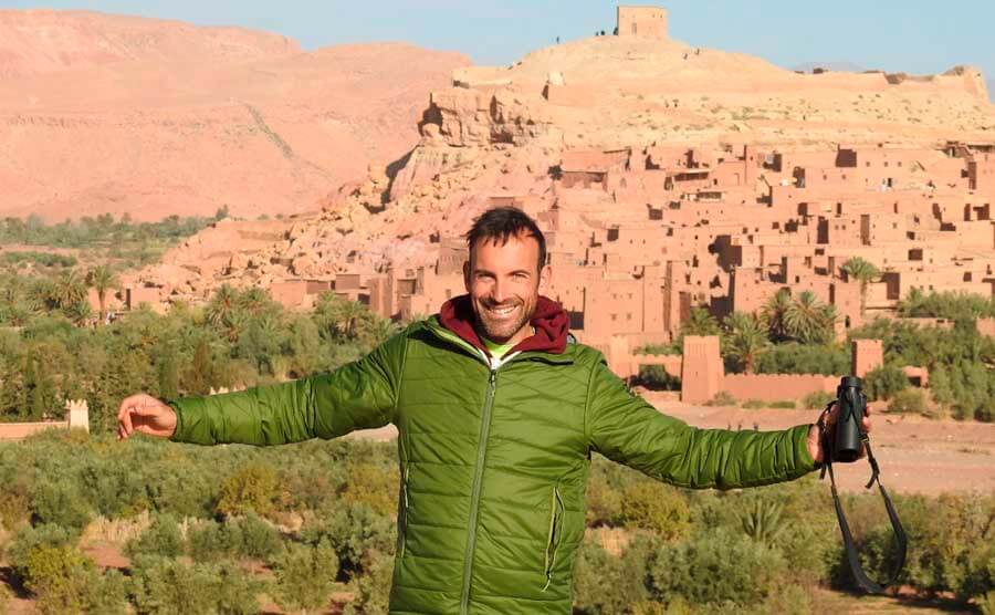 Bird guide in Morocco