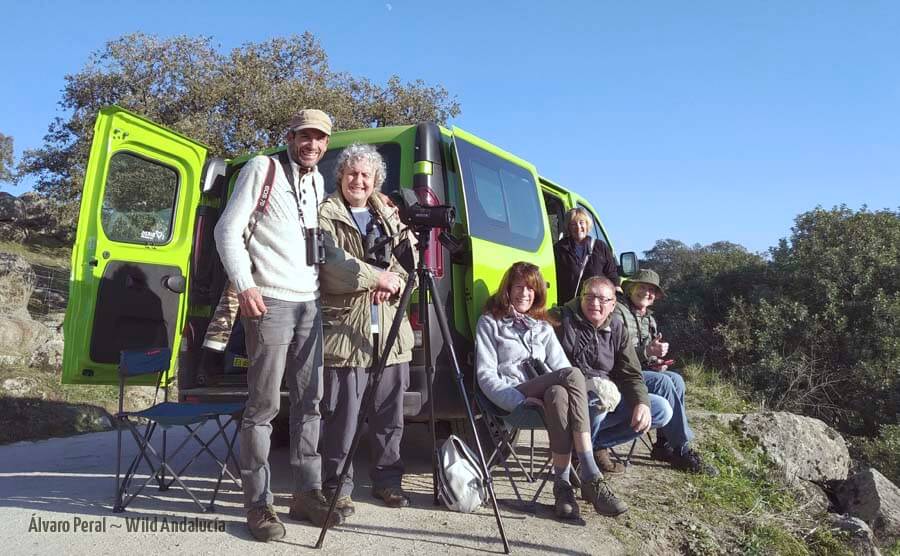 Lynx watching guide in Spain