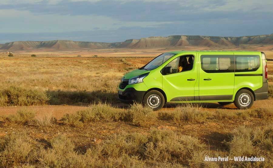 Wild Andalucia minibus