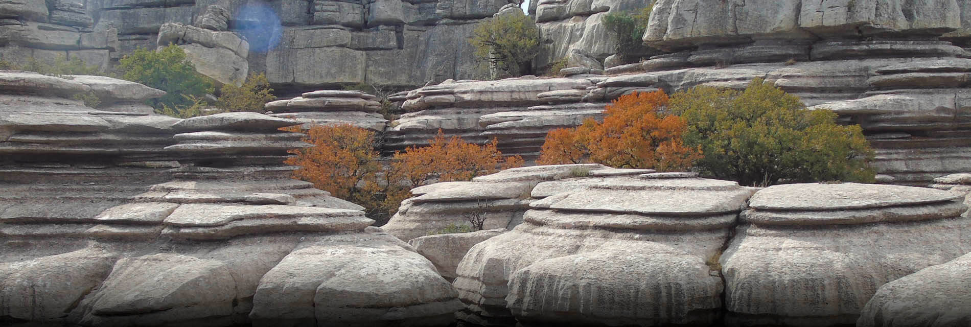 hiking and birding trip to El Torcal