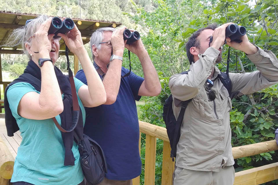 tailor-made spanish birdwatch